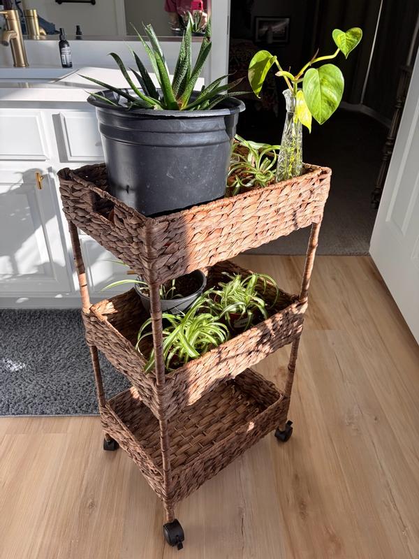 Customer carousel item 11.