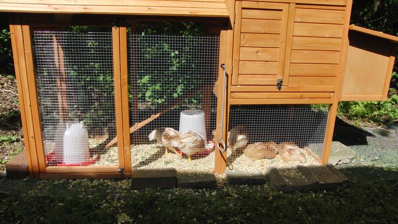 80in Wooden Chicken Coop