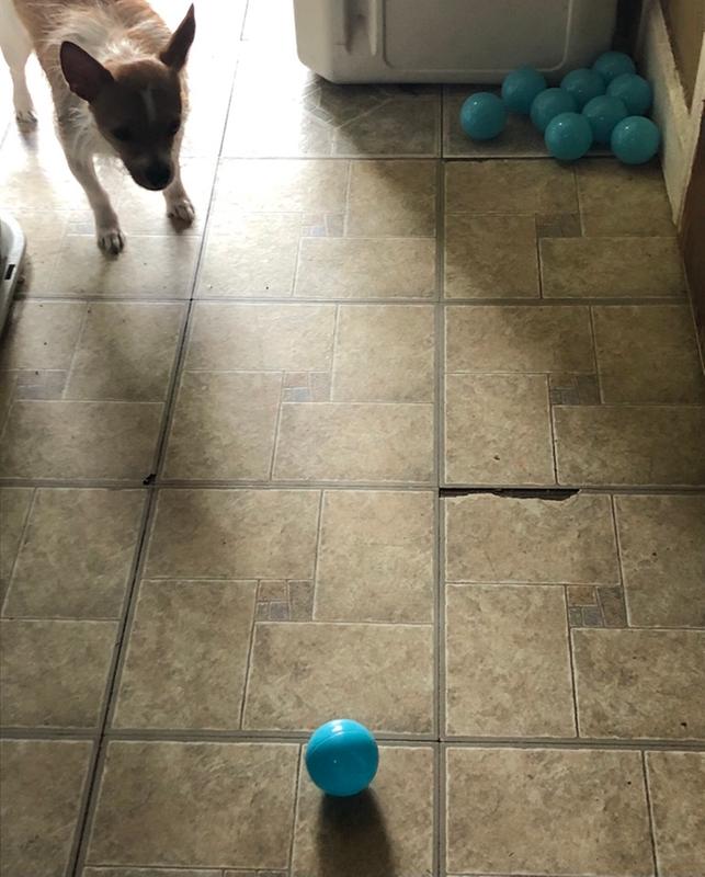Customer photo for "Fun!"