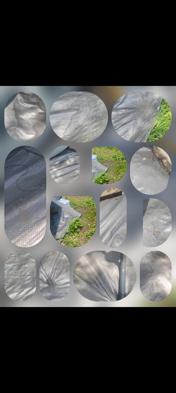 Water leaking out if pool