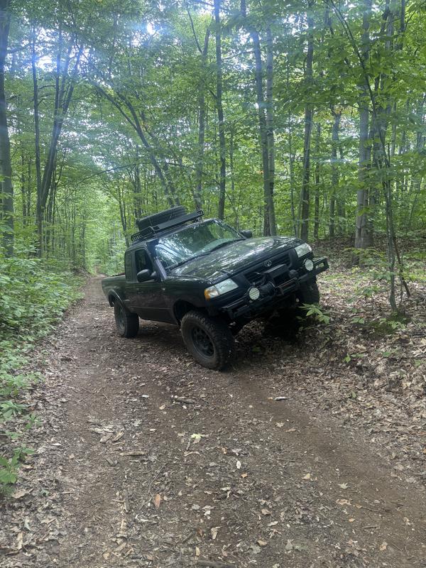 Photo - commentaire 4.