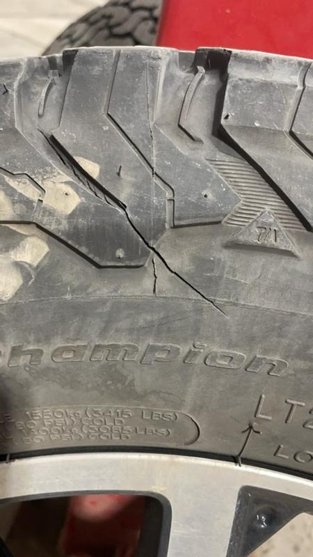 Photo - commentaire 6.