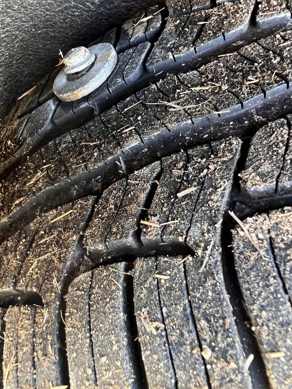 Photo - commentaire&nbsp;7.