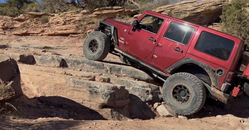 アッキーCRIMSON VAMPIRE BFGoodrich Coker Tire 579702 BFGoodrich Silvertown Radial Tires