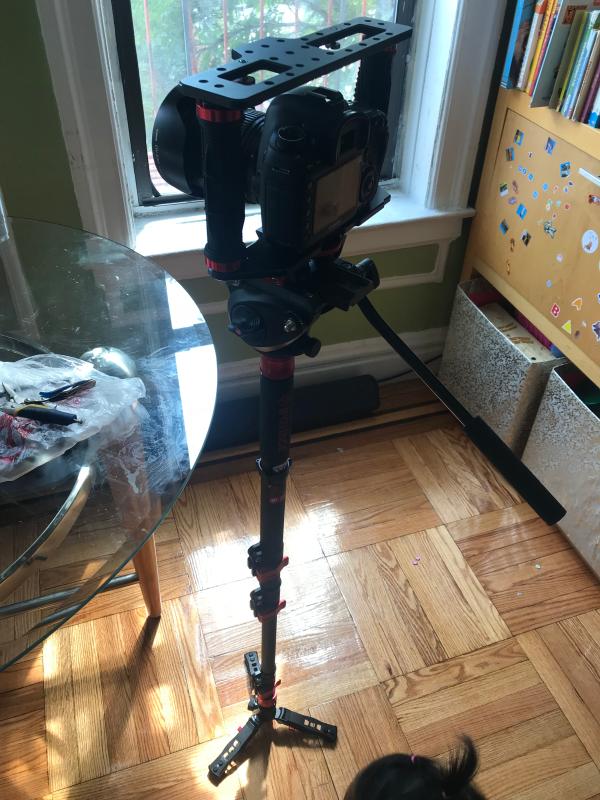 iFootage Cobra 2 C180 Carbon Fiber Monopod C180 B&H Photo Video
