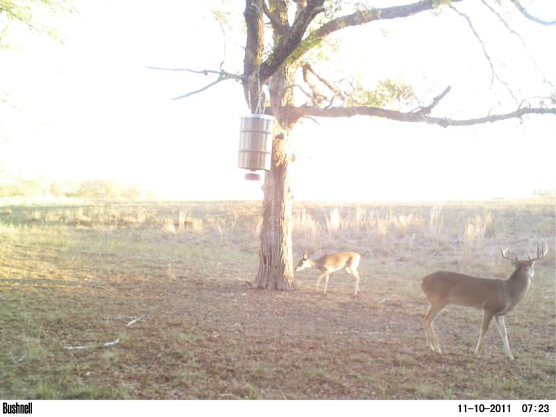 Moultrie Pro Magnum Feeder Kit Mfhp53764 B H Photo Video