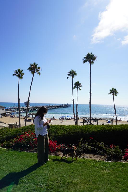 Sony a6100 Mirrorless Camera with 16-50mm f/3.5-5.6 II Lens