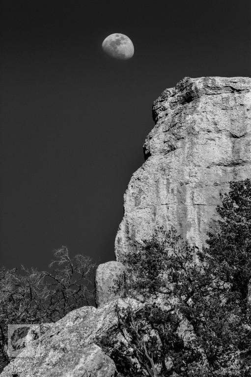 Tiffen 52mm Black & White Three Filter Kit 52BWFK B&H Photo