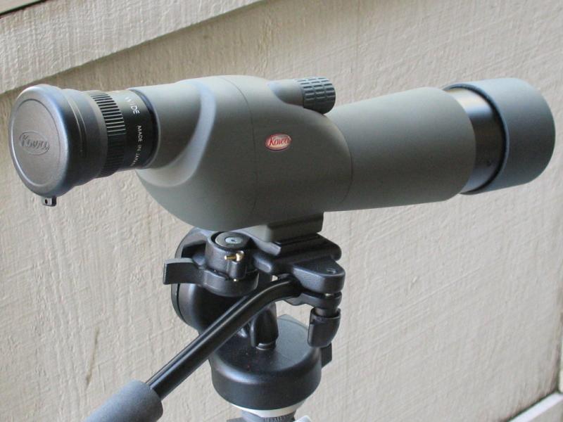 Kowa TSE14WD 30x Spotting Scope Eyepiece TE14WD B&H Photo Video