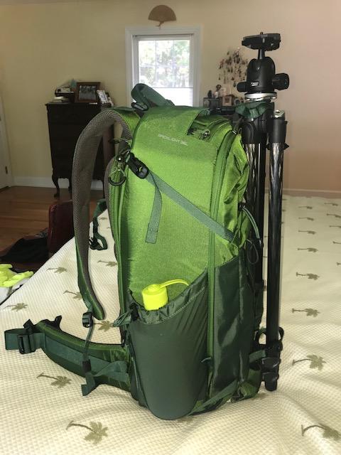 MindShift Gear BackLight 36L Backpack (Woodland Green) 520364