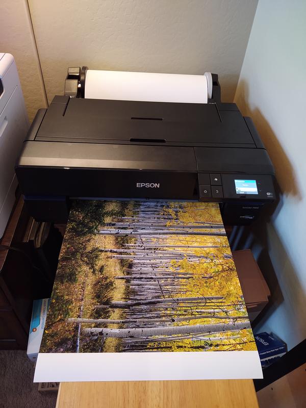 Epson Roll Media Adapter for SureColor P800 C12C811431 B&H Photo