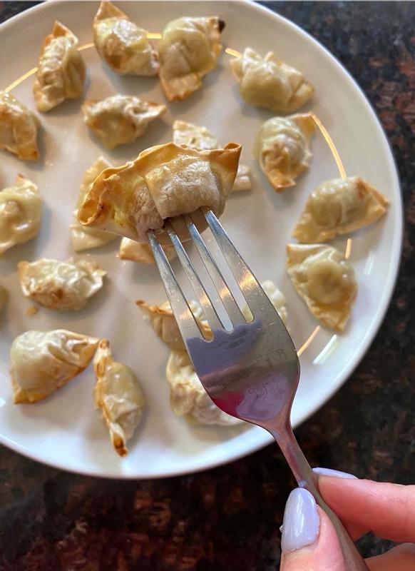 wontonsp　RP 20240105232845-pork-