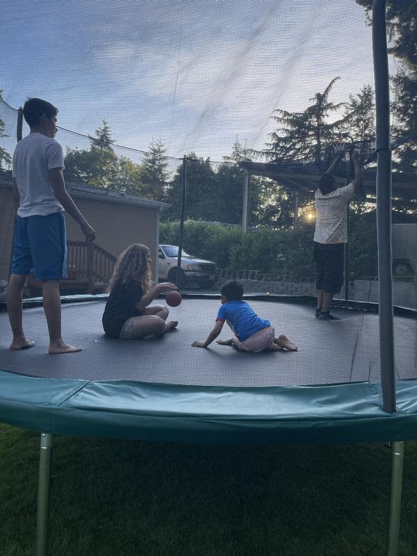 Propel 15 Trampoline with Basketball Hoop Big 5 Sporting Goods