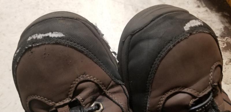 coleman paver st work boots