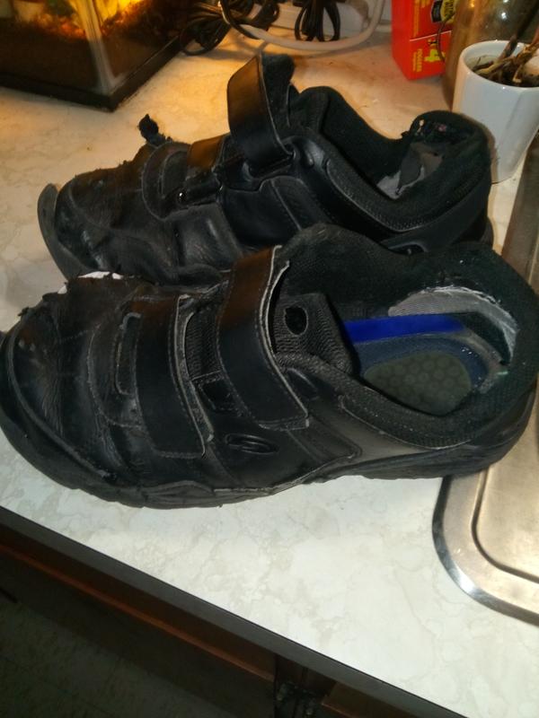 dr scholl's velcro mens shoes