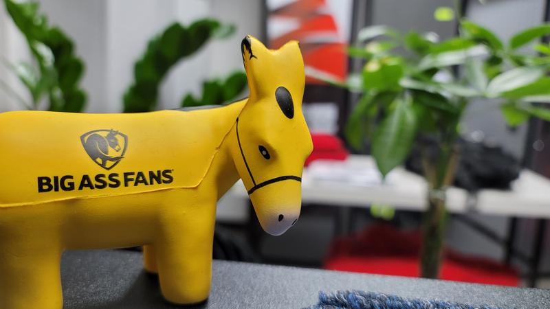 My ass on my desk.