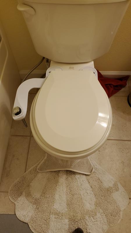 Bidet installment completed