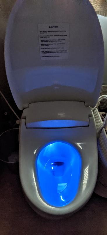 The blue bowl special