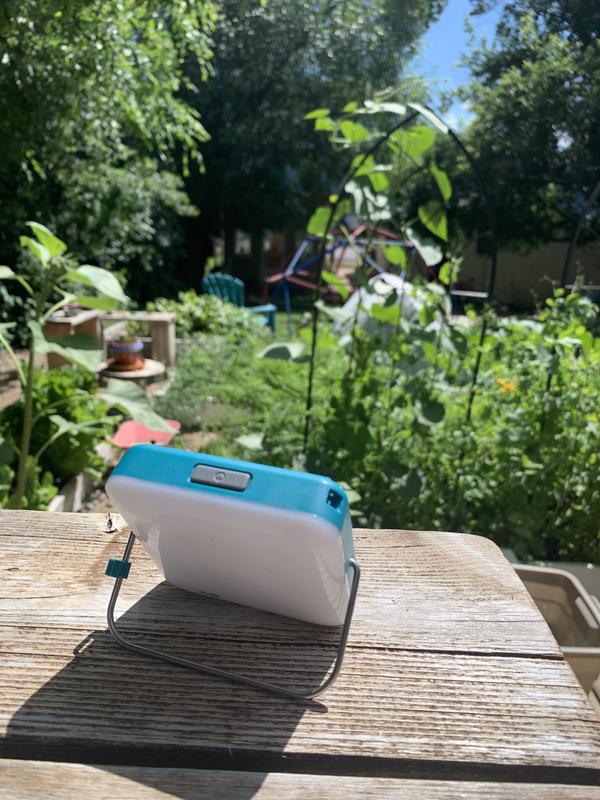 Photo submitted with review of product