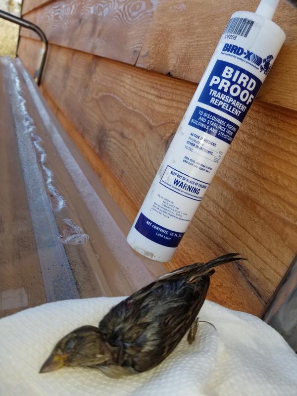 Uso E Instalacion De Gel BIRD PROOF, 41 OFF