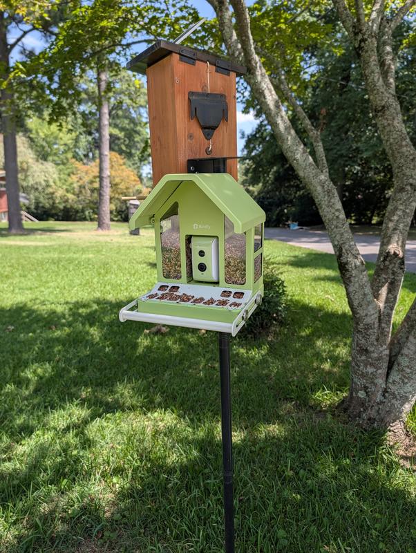 Customer photo for "Less Mess, Fewer Squirrels, and More Birds!"