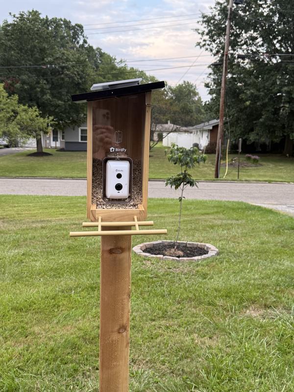 Customer photo for "Birdfy Fun!"