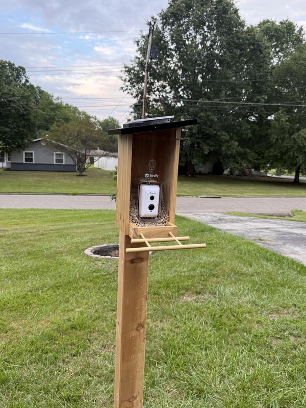 Customer photo for "Birdfy Fun!"