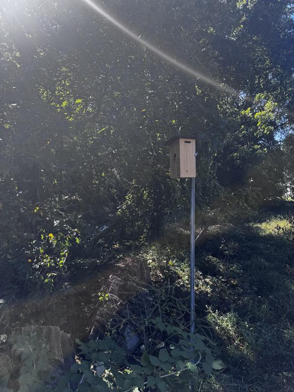 Customer photo for "I have several Birdfy products and love them!"