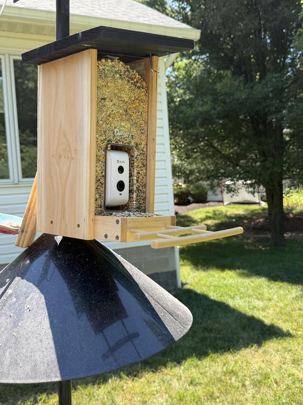 Customer photo for "Great feeder, awesome video and holds lots of seed"