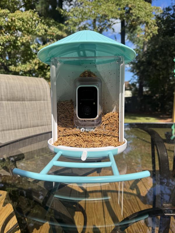 Customer photo for "Perfect!!"