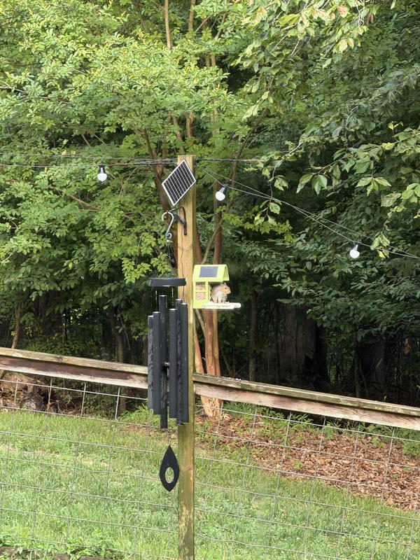 Customer photo for "No more squirrel damage"