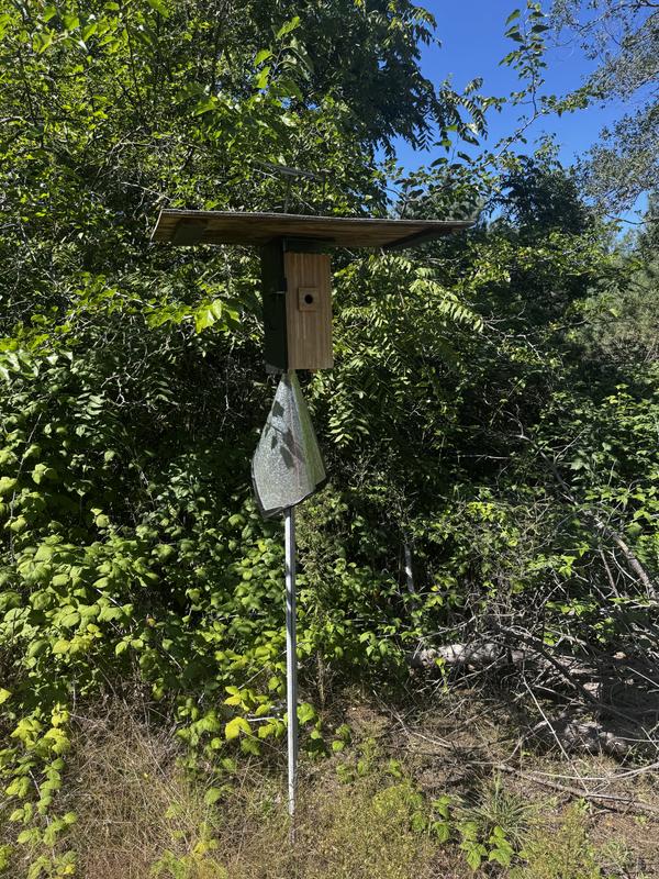 Customer photo for "I have several Birdfy products and love them!"