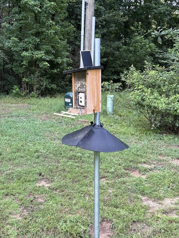Customer photo for "Birds love it"