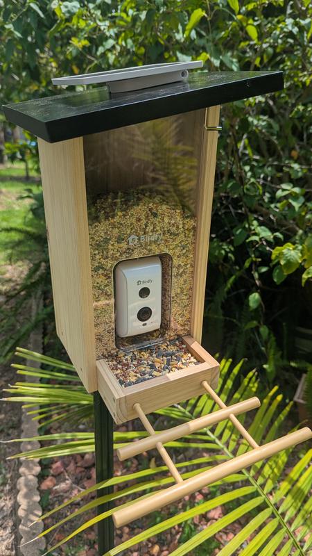 Customer photo for "Birdfy feeder"