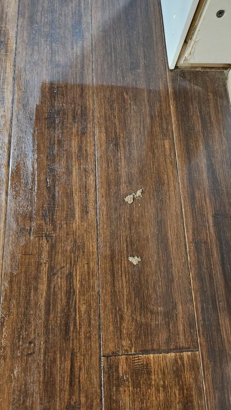Edges not mopped or vacuumed and dirt clumps