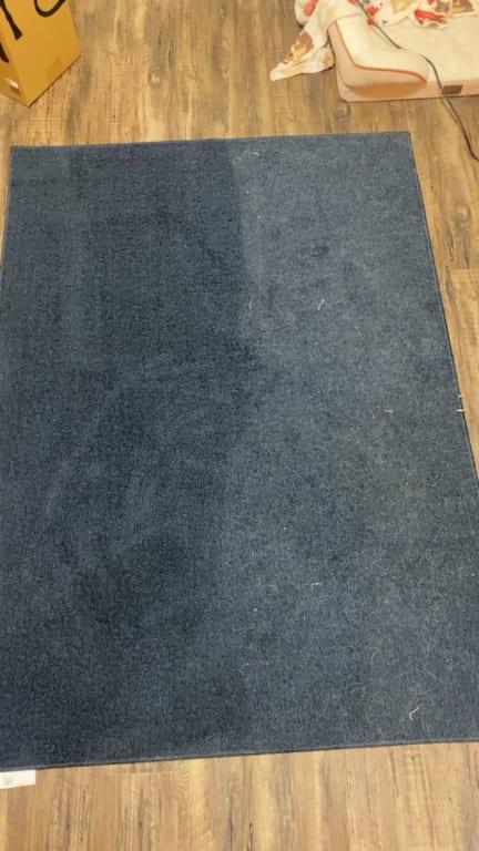 Photo is 1/2 that has been vacuumed and 1/2 that hasn't for about a week