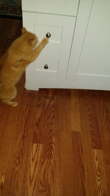 Help, I'm having trouble getting into here