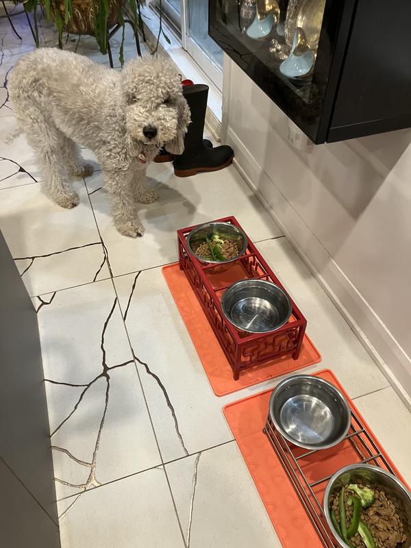 Photo - commentaire&nbsp;1.