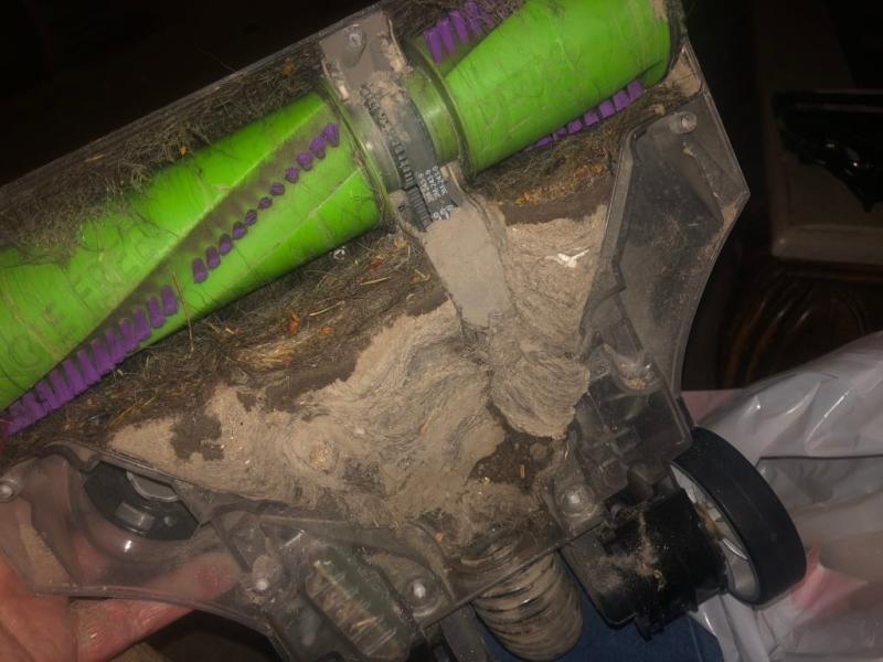 Definitely cannot handle pet hair.