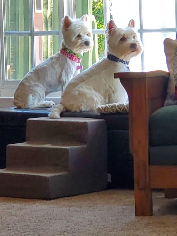 takes care of anything these two dish out