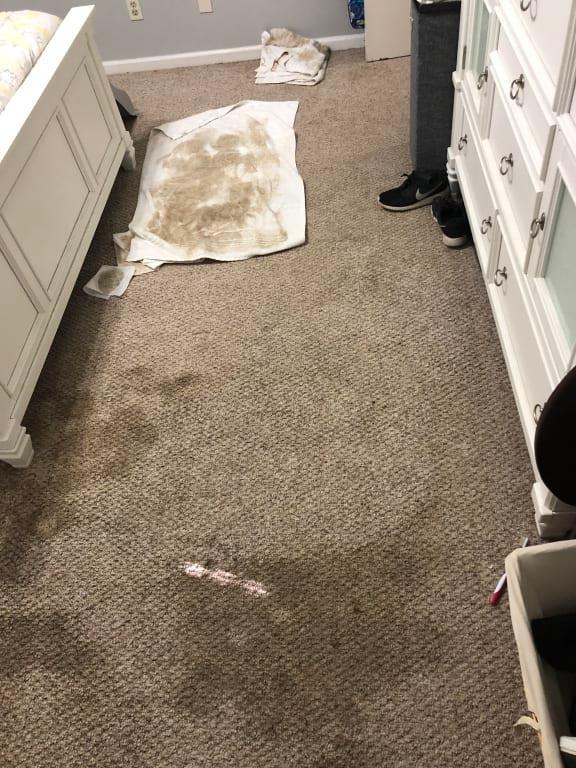 After a few bottles of this product. Literally 5 minutes after application.