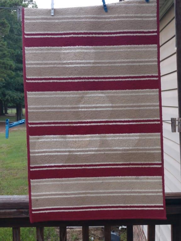 Didn't realize my rug was that dirty!!
