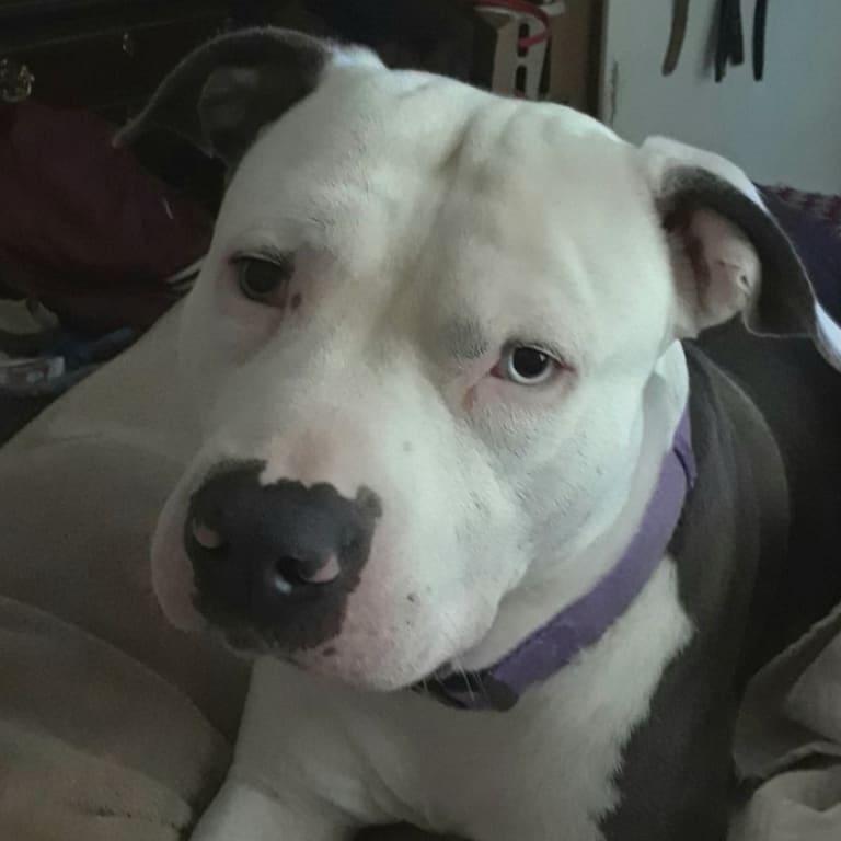 Keeps my master happy!!