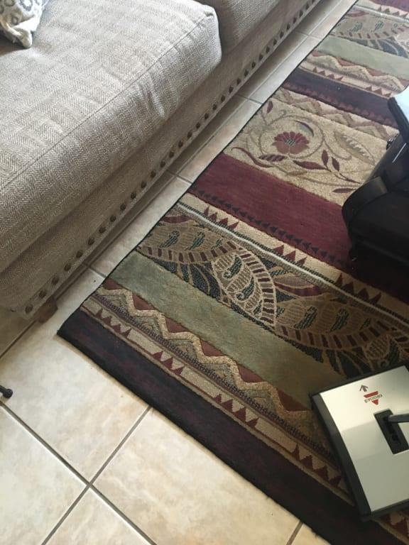 Chips cleaned in a swoop