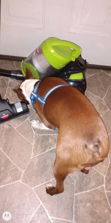 Hmmmmm...I need to get this place vacuumed!!!