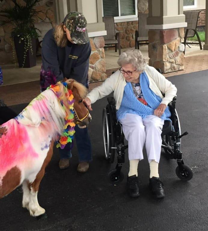 Miss Molly Marie Mini Therpay pony after a Bissell BarkBath