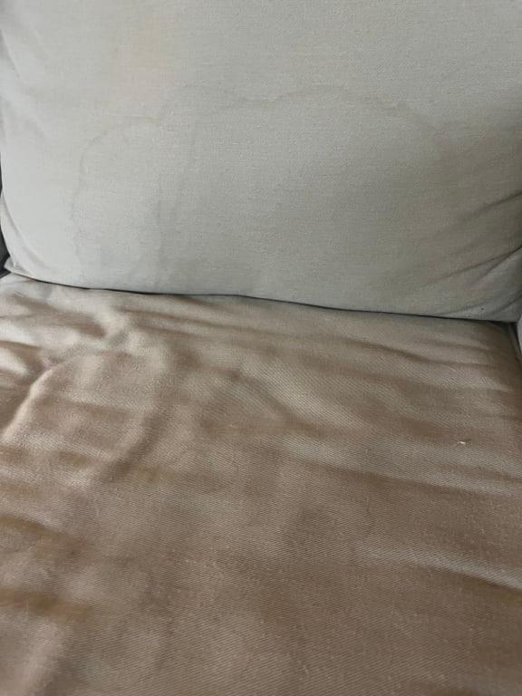 Where my dog likes to lay on the couch before