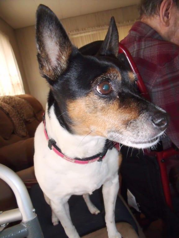 She is perky & peppy!