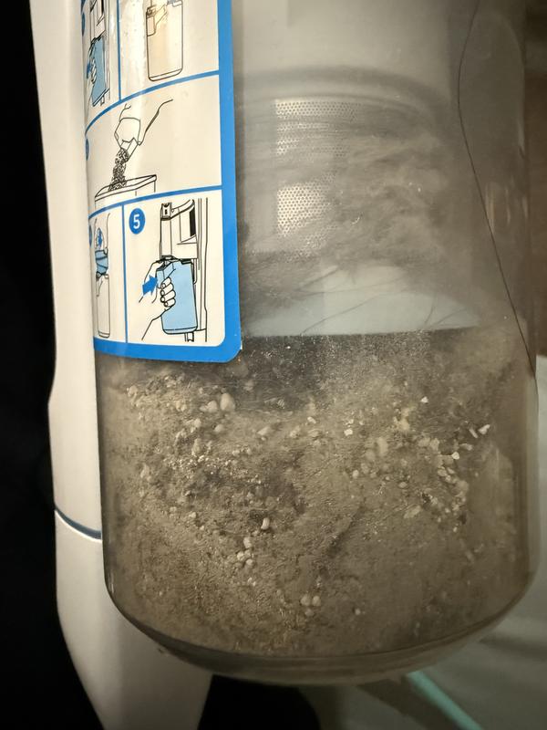 this is after one go on the carpet!