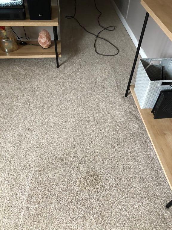 Photo - commentaire 2.